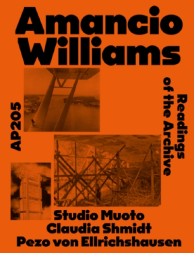 cover AP 205 Amancio Williams