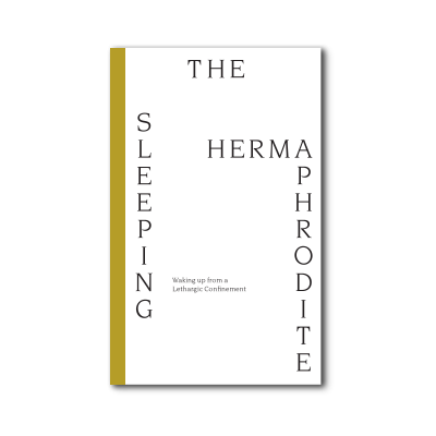 cover The Sleeping Hermaphrodite